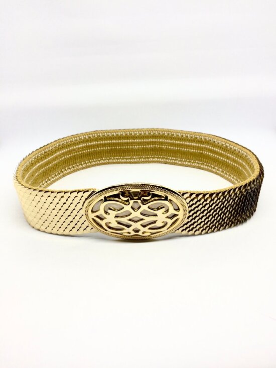 VINTAGE GOLD TONE Stretch Belt Day Lor Wide Scale Statement Disco Waist Cinch main image 12